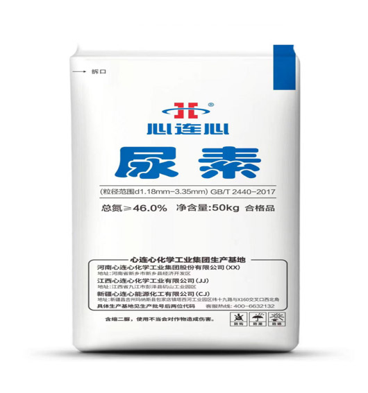 ���ؿ���