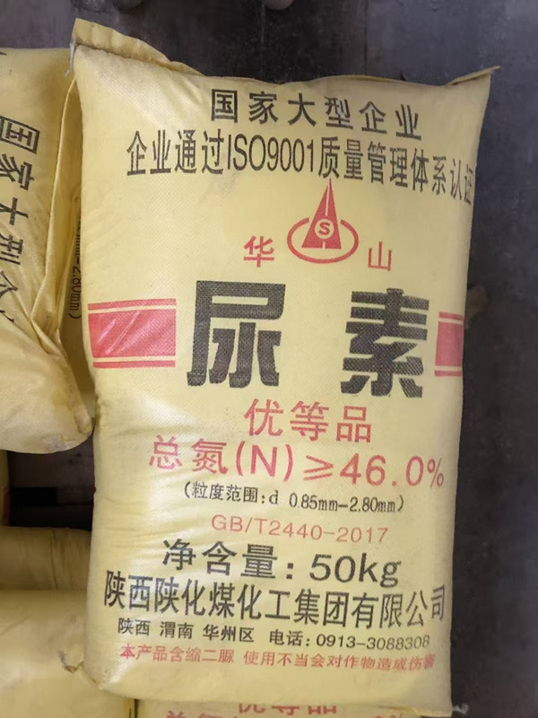 ���ؿ���